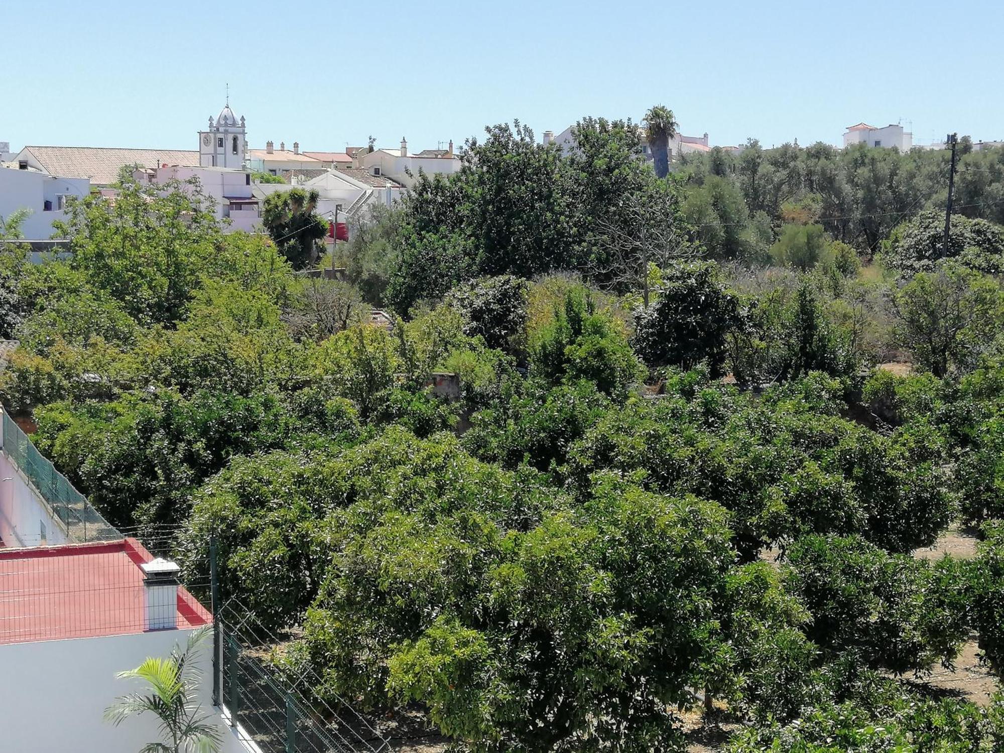 Villa Cerro E Mar Moncarapacho Exteriér fotografie